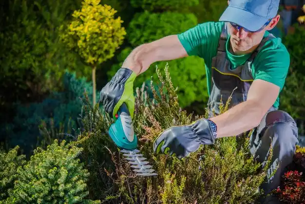 landscaping services Wilber